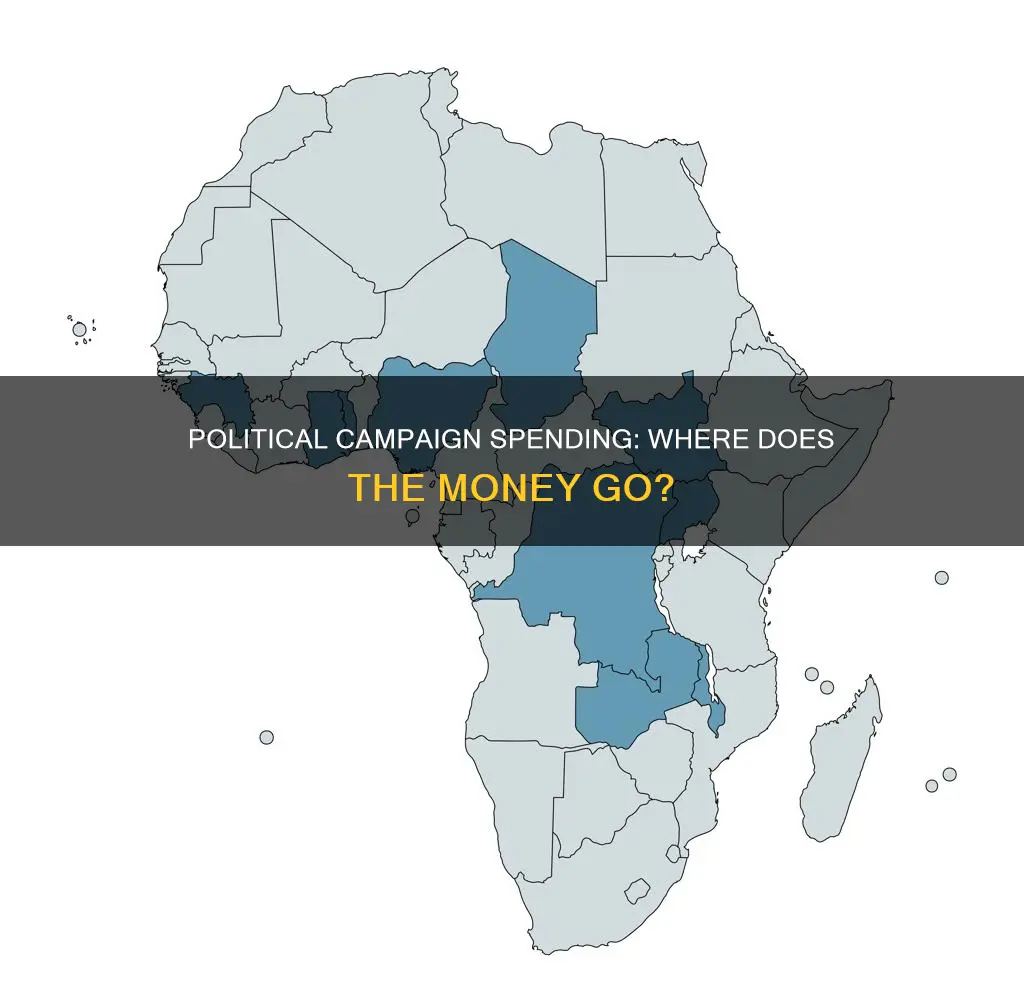 how do political campaigns use their funds
