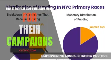 Political Fundraising Strategies: Campaign Money Sources Revealed