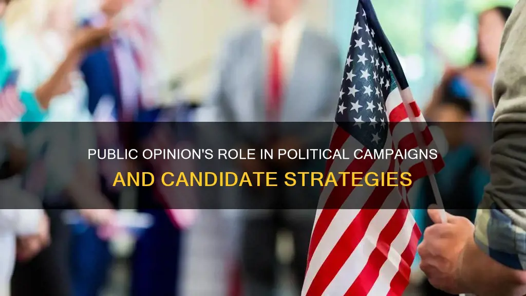 how do political candidates use public opinion for campaigns