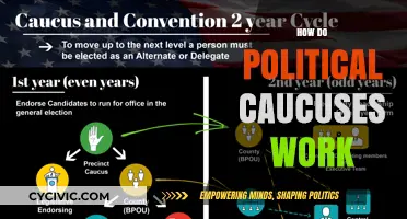 Understanding Political Caucuses: A Step-by-Step Guide to Their Functioning