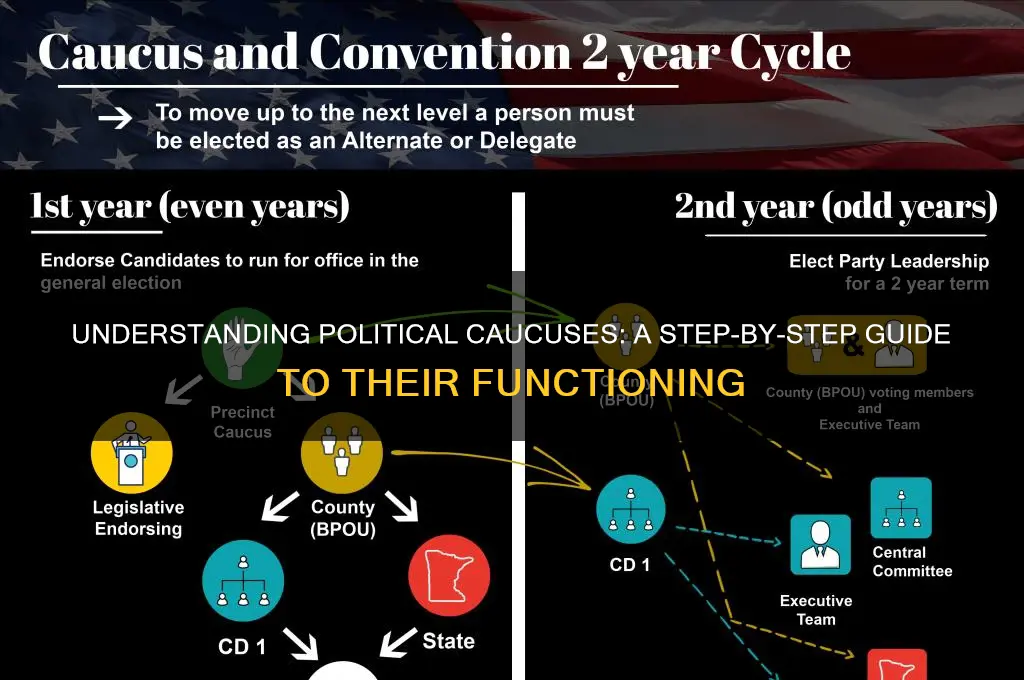 how do political caucuses work