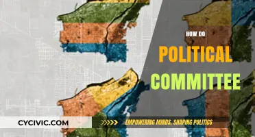 How Political Committees Shape Policies and Influence Elections