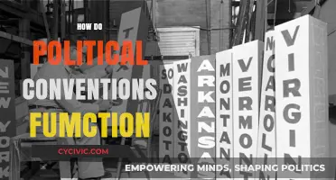 Understanding the Role and Mechanics of Political Conventions in Democracy