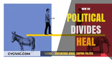 Bridging the Gap: Strategies for Healing Political Divides in Society