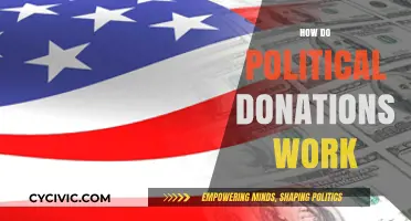 Understanding Political Donations: How Money Influences Campaigns and Elections