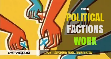Understanding Political Factions: Dynamics, Influence, and Power Structures Explained