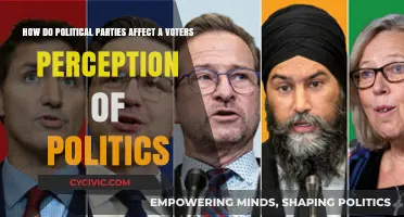 Political Parties: Shaping Voter Perceptions and Political Realities