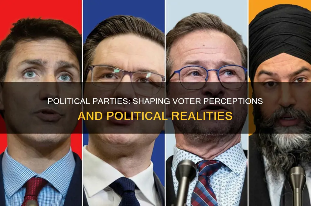how do political parties affect a voters perception of politics