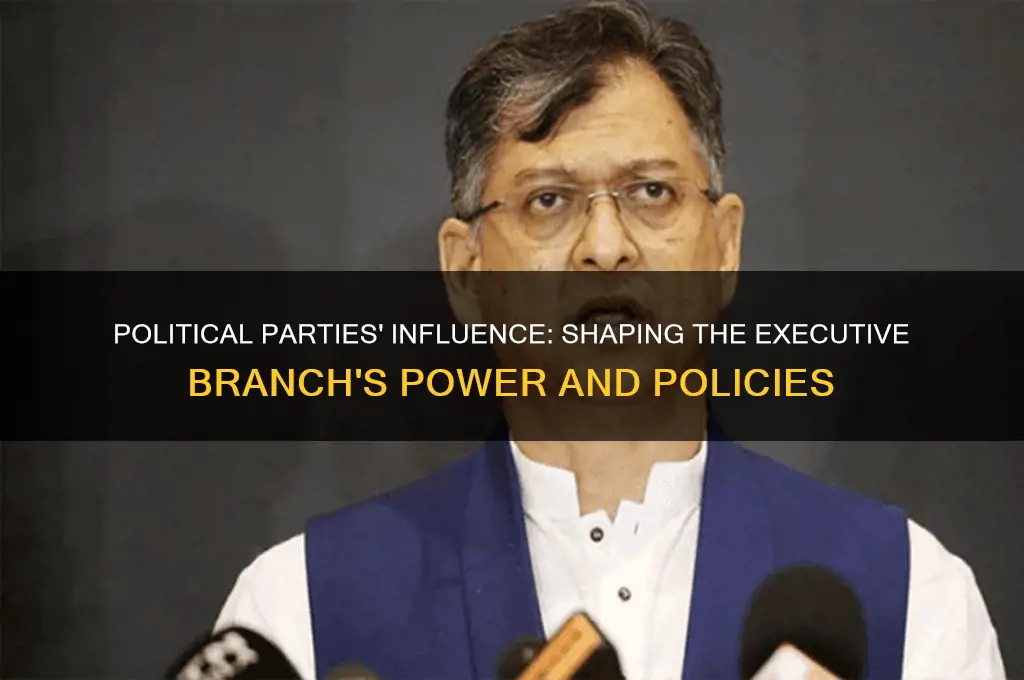 how do political parties affect the executive branch