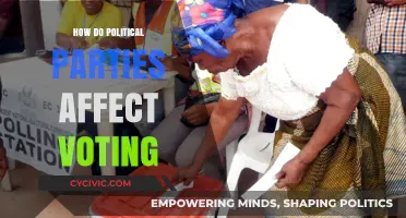 How Political Parties Shape Voter Behavior and Election Outcomes