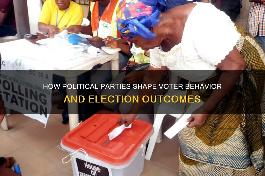 how do political parties affect voting