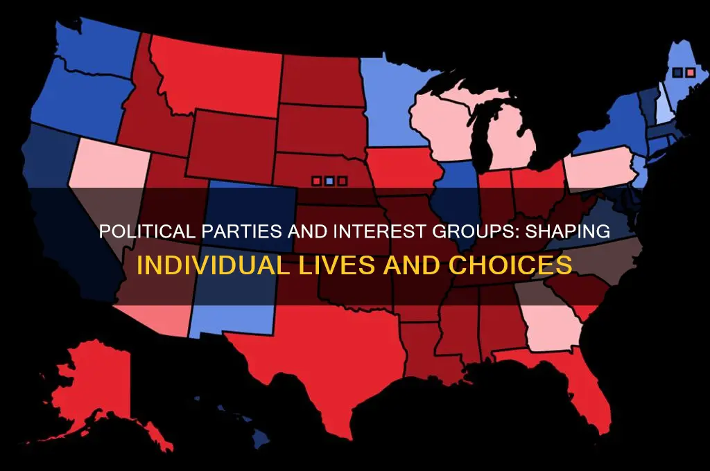 how do political parties and interest groups impact individuals