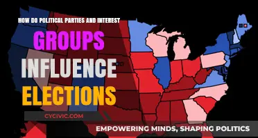 Political Parties and Interest Groups: Shaping Election Outcomes and Public Policy