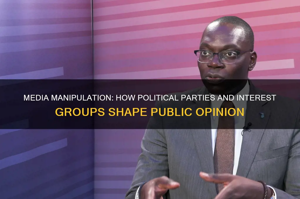 how do political parties and interests groups use media