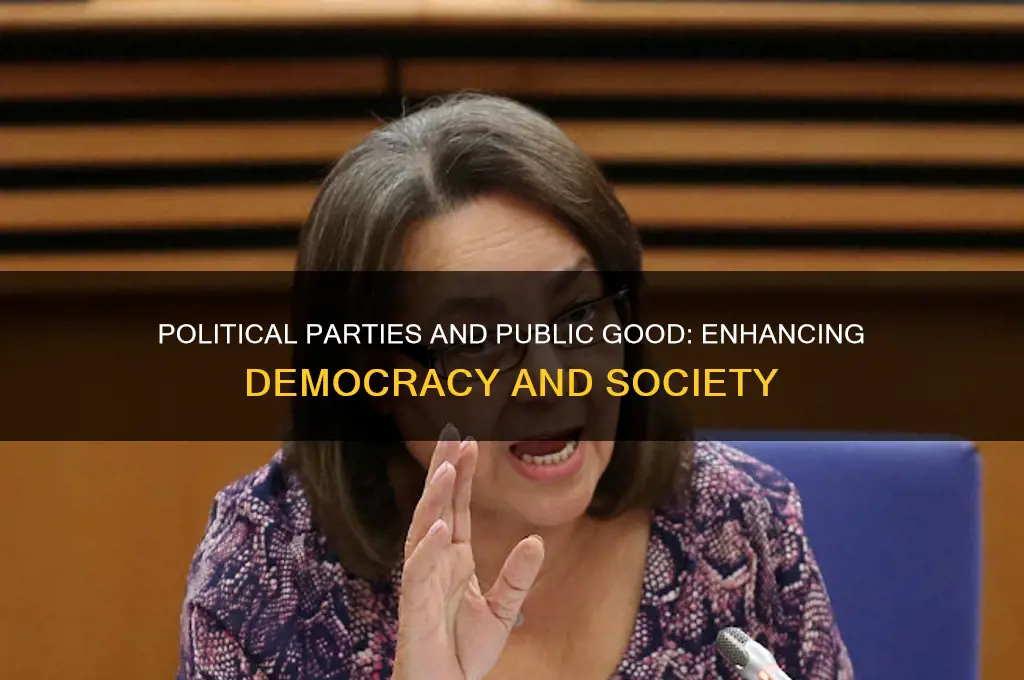 how do political parties benefit the public good