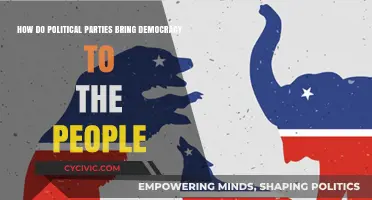 Empowering Voices: How Political Parties Strengthen Democratic Participation