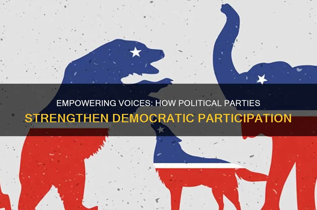 how do political parties bring democracy to the people