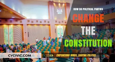 How Political Parties Influence and Amend Constitutional Frameworks