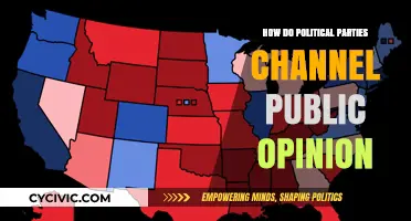 How Political Parties Shape and Channel Public Opinion