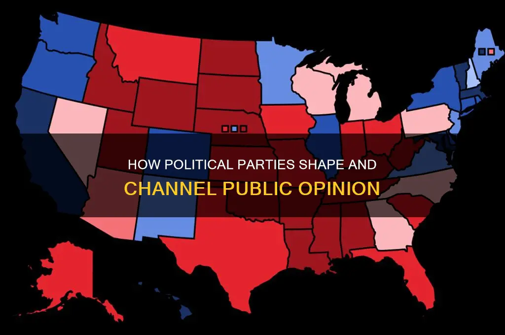 how do political parties channel public opinion