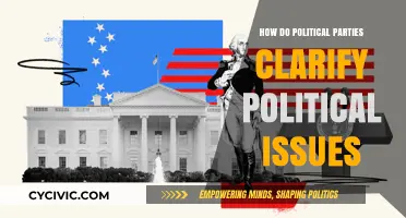 Decoding Democracy: How Political Parties Clarify Complex Issues for Voters