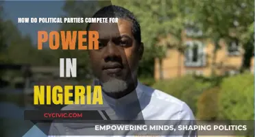 Power Struggles: Strategies of Political Parties in Nigeria's Competitive Landscape