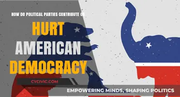 Political Parties: Democracy's Allies or Adversaries in America?
