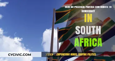 Political Parties' Role in Strengthening South Africa's Democratic Framework