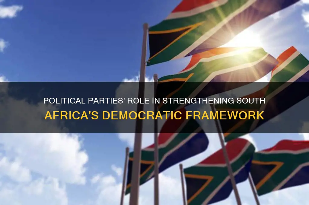 how do political parties contribute to democracy in south africa