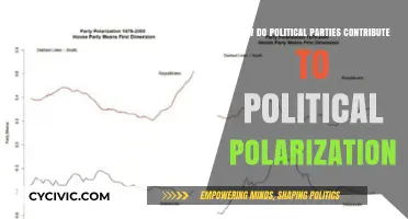 How Political Parties Fuel Divisive Polarization in Modern Politics
