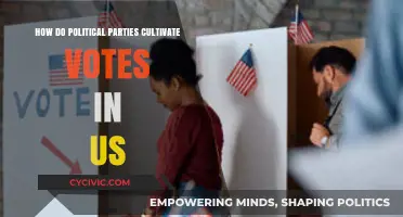 Strategies Political Parties Use to Win Votes in the US