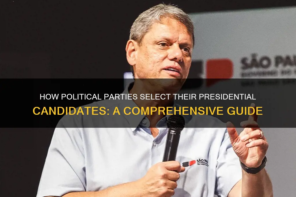 how do political parties determine their president