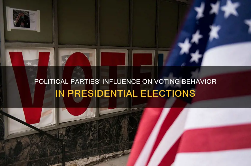 how do political parties effect voting patterns in presidential elections