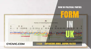 Understanding the Formation of Political Parties in the UK