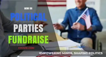 Unveiling Political Fundraising: Strategies, Sources, and Campaign Finance Secrets