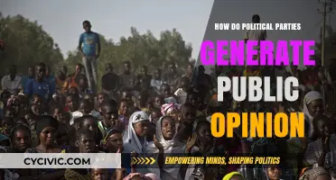 Shaping Public Opinion: Strategies Political Parties Use to Influence Voters