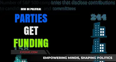 Unveiling the Financial Sources Behind Political Party Funding