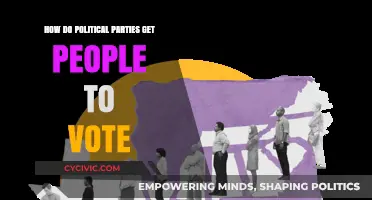 Strategies Political Parties Use to Mobilize Voters and Win Elections