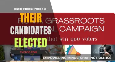 Strategies Political Parties Employ to Win Elections