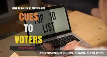 Decoding Voter Cues: How Political Parties Shape Public Opinion