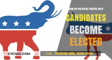 How Political Parties Boost Candidates' Election Success Strategies