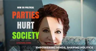 Divisive Politics: How Political Parties Undermine Social Unity and Progress