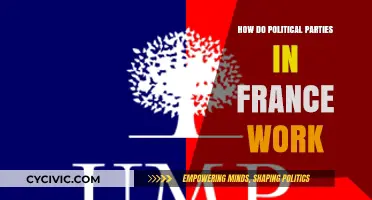Understanding France's Political Parties: Structure, Roles, and Influence Explained