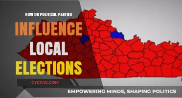 How Political Parties Shape Local Elections and Community Outcomes