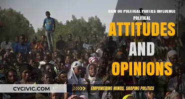 How Political Parties Shape Public Attitudes and Opinions