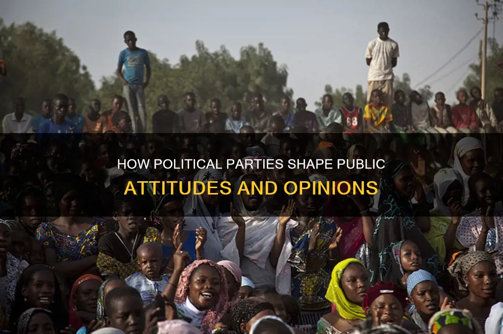 how do political parties influence political attitudes and opinions