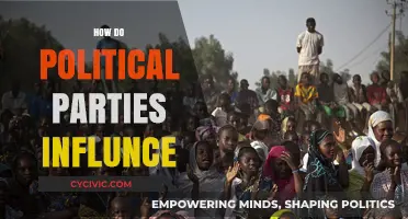 How Political Parties Shape Policies, Elections, and Public Opinion