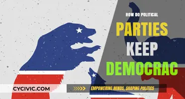 How Political Parties Strengthen Democratic Systems and Civic Engagement