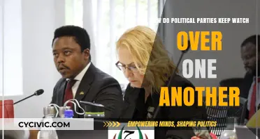 Political Oversight: How Parties Monitor Each Other's Moves