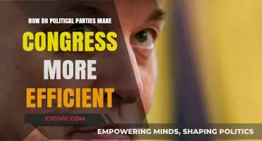 How Political Parties Streamline Congress: Efficiency Strategies Explained